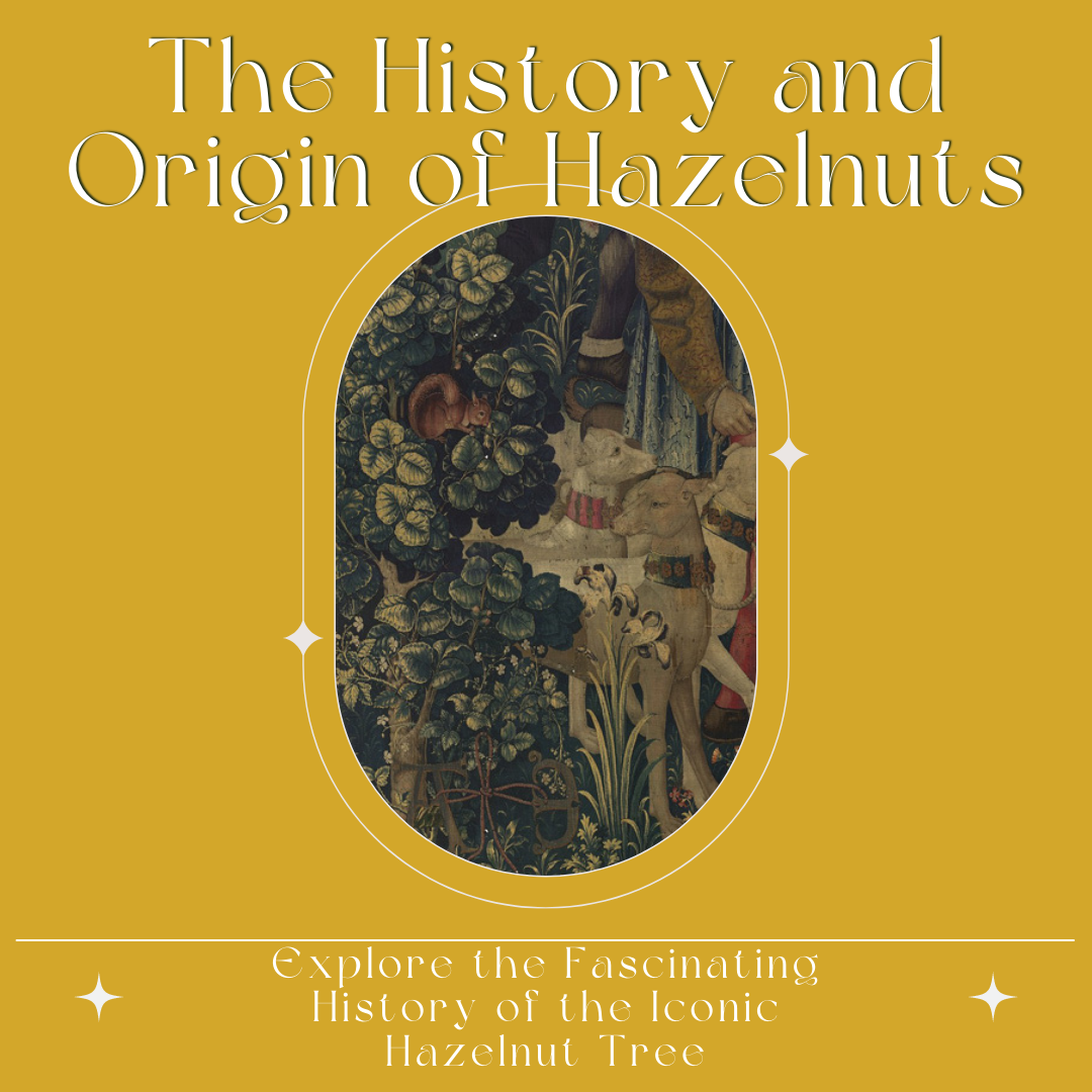 The History and Origin of Hazelnuts