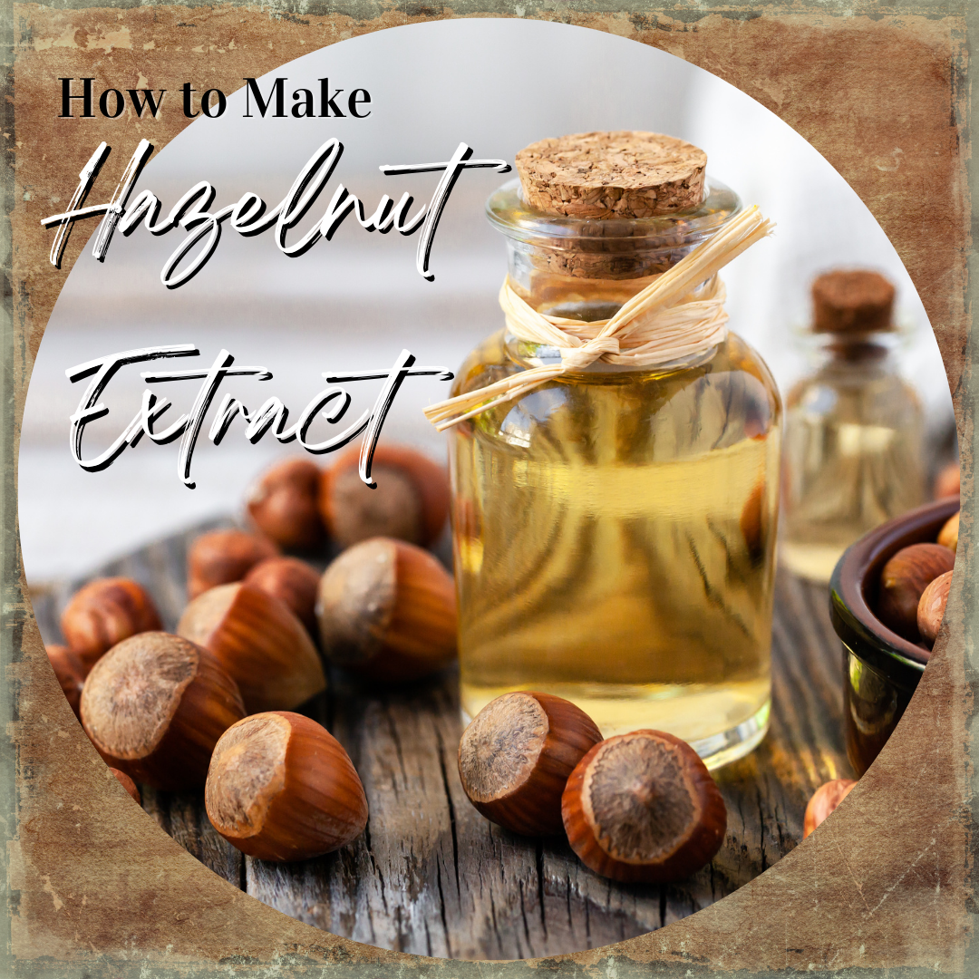 How to Make Hazelnut Extract